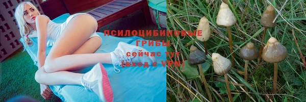 мет Алексеевка