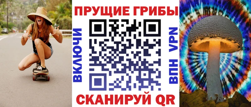 Псилоцибиновые грибы Psilocybine cubensis  магазин продажи   Сольвычегодск 